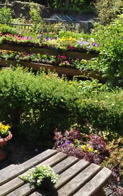 Craster Tower Stable Yard Nursery Café